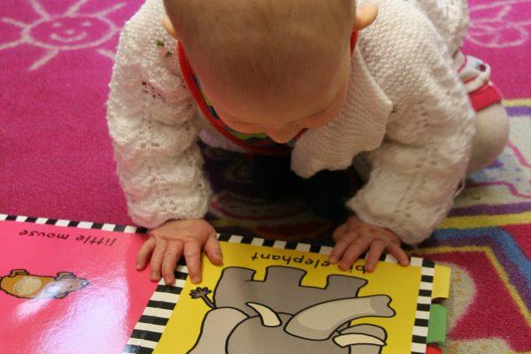 Program Oddelka za mlade bralce