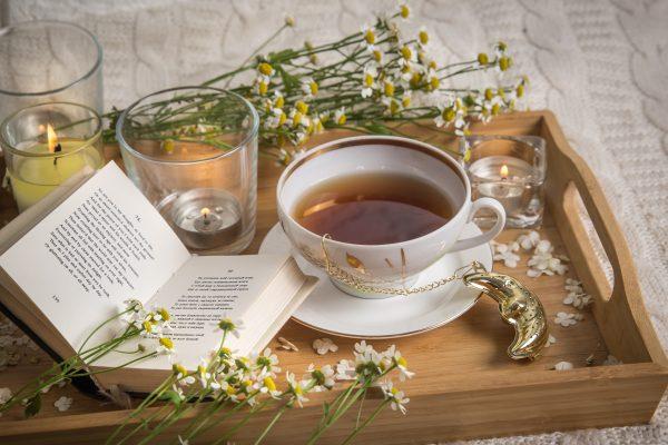 LA CHIAVE DEL SUCCESSO È LA COOPERAZIONE: L’impulso culturale in compagnia della Biblioteca di Capodistria e del Caffè della Loggia