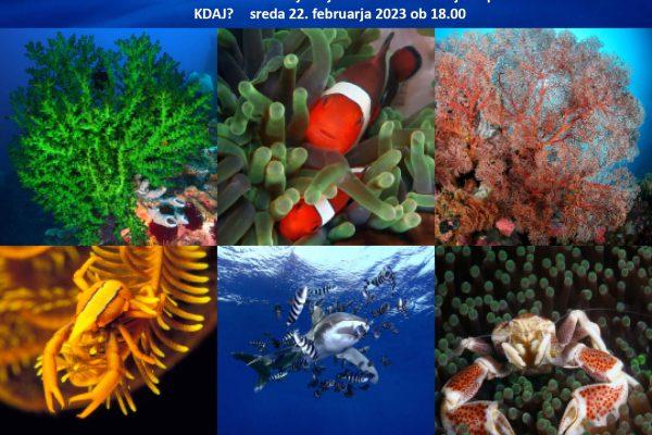 Projekcija “Pod morjem okoli sveta”