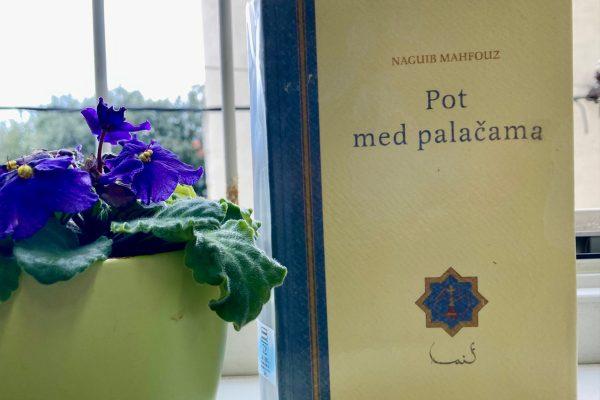 52 knjig, ki jih morate prebrati: Naguib Mahfouz – Pot med palačama