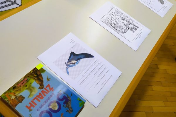 Poletna bralna dogodivščina – NA VALOVIH DOMIŠLJIJE z Rovko Črkolovko je ponovno tu!