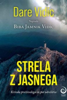 Naslovnica knjige: Strela z jasnega : krivda preživelega in pot odre&scaron;itve