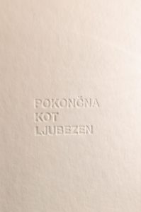 PokoncnoKotLjubezen 58